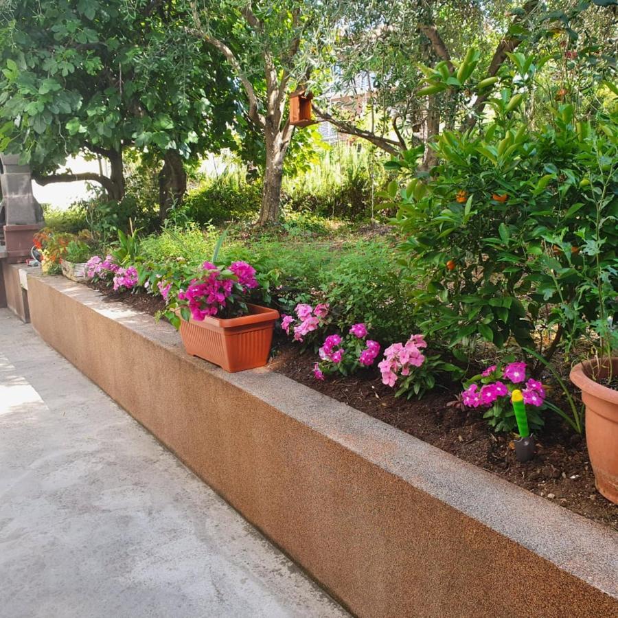 Apartma Lana21 Daire Koper Dış mekan fotoğraf